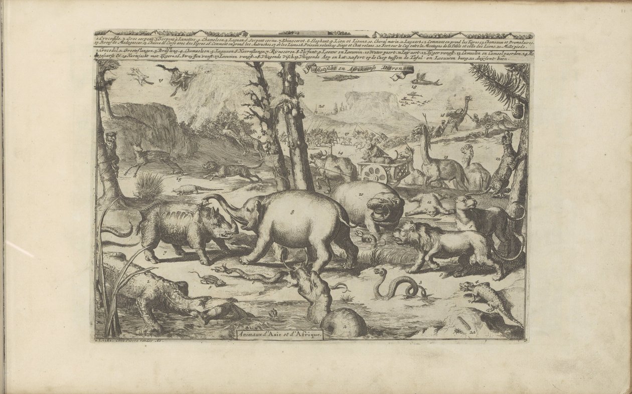 Aziatische en Afrikaanse dieren Aziatische en Afrikaanse dieren / Animals of Asia and Africa (título no objeto) As Índias Orientais e Ocidentais e Outros Lugares (título da série) de Romeyn de Hooghe