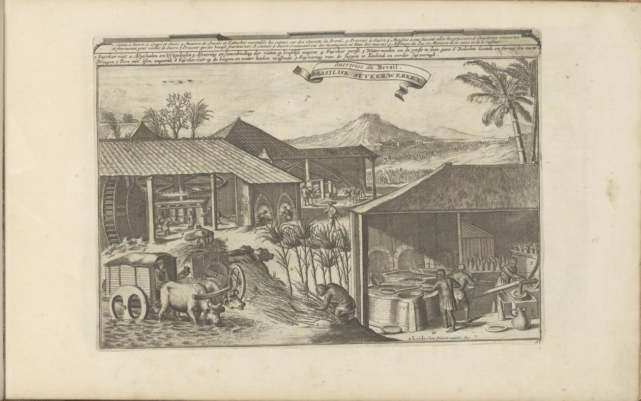 Brasileiros suikerwerkers
Brasilise Suykerwerken / Sucreries du Brasil (título sobre o objecto)
As Índias Oriental e Ocidental e outros lugares (título da série) de Romeyn de Hooghe