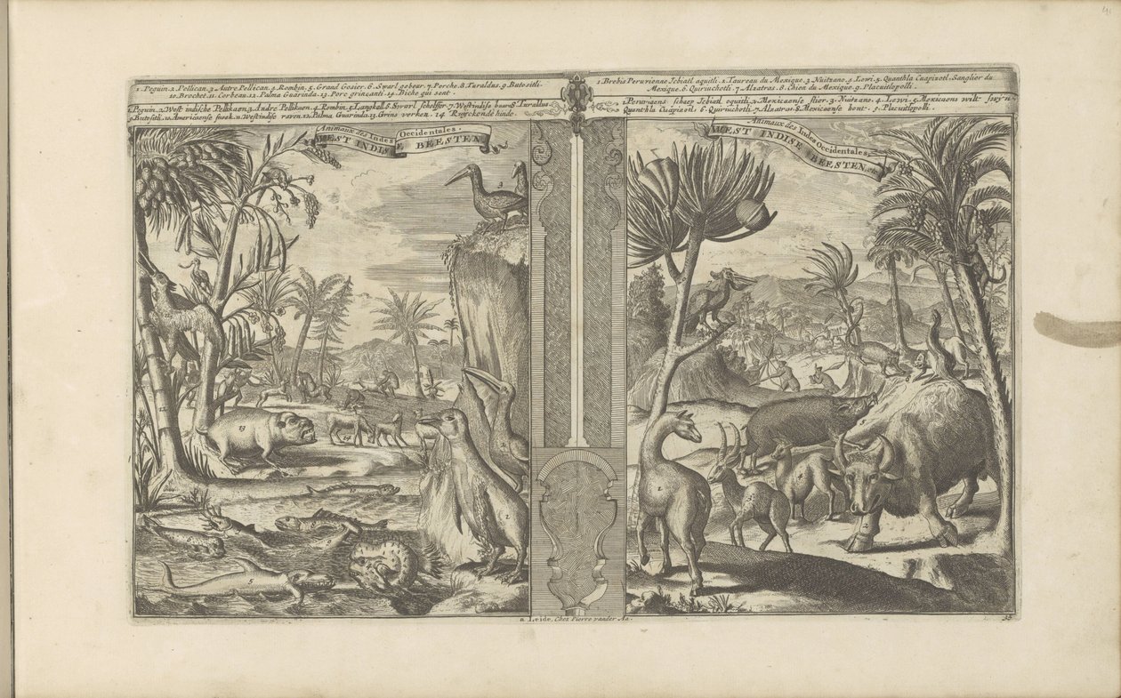 Dieren uit West-India West Indische Beesten / Animais das Índias Ocidentais (título no objeto) As Índias Orientais e Ocidentais e Outros Lugares (título da série) de Romeyn de Hooghe