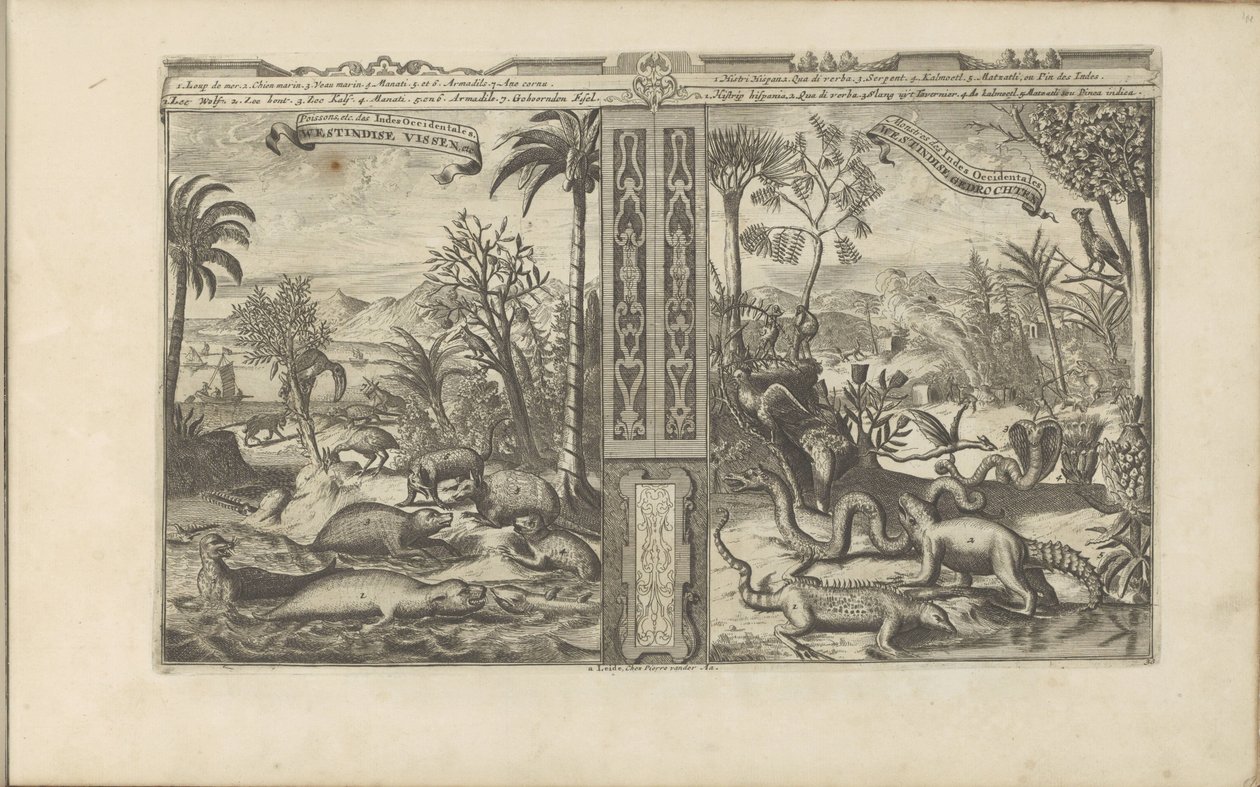 Dieren uit West-India Westindische Vissen, etc / Peixes, etc das Índias Ocidentais // Westindische Gedrochten / Monstros das Índias Ocidentais (título no objeto) As Índias Orientais e Ocidentais e Outros Lugares (título da série) de Romeyn de Hooghe