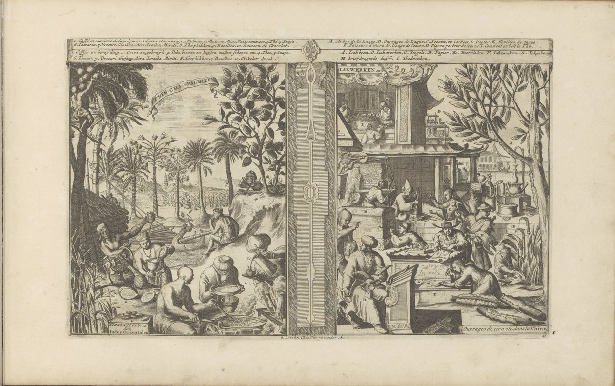Bebido em Oost-Indië; Lakwerk en papier uit China
Thee, Cha en Palmiten / Plants and trees in the East Indies // Lakwerken / Wax works etc. na China (título sobre o objecto)
As Índias Oriental e Ocidental e outros lugares (título da série) de Romeyn de Hooghe