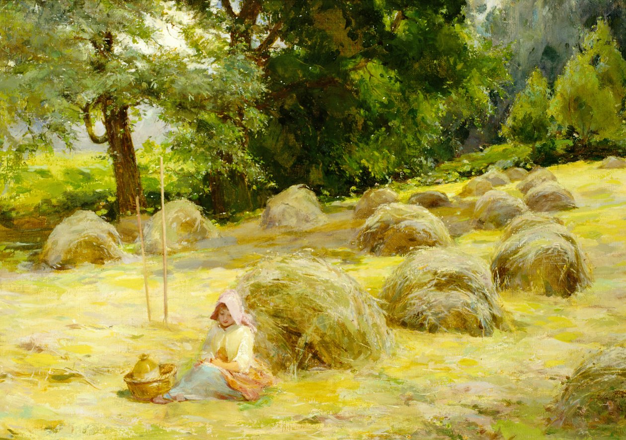 Haytime de Rosa Appleton