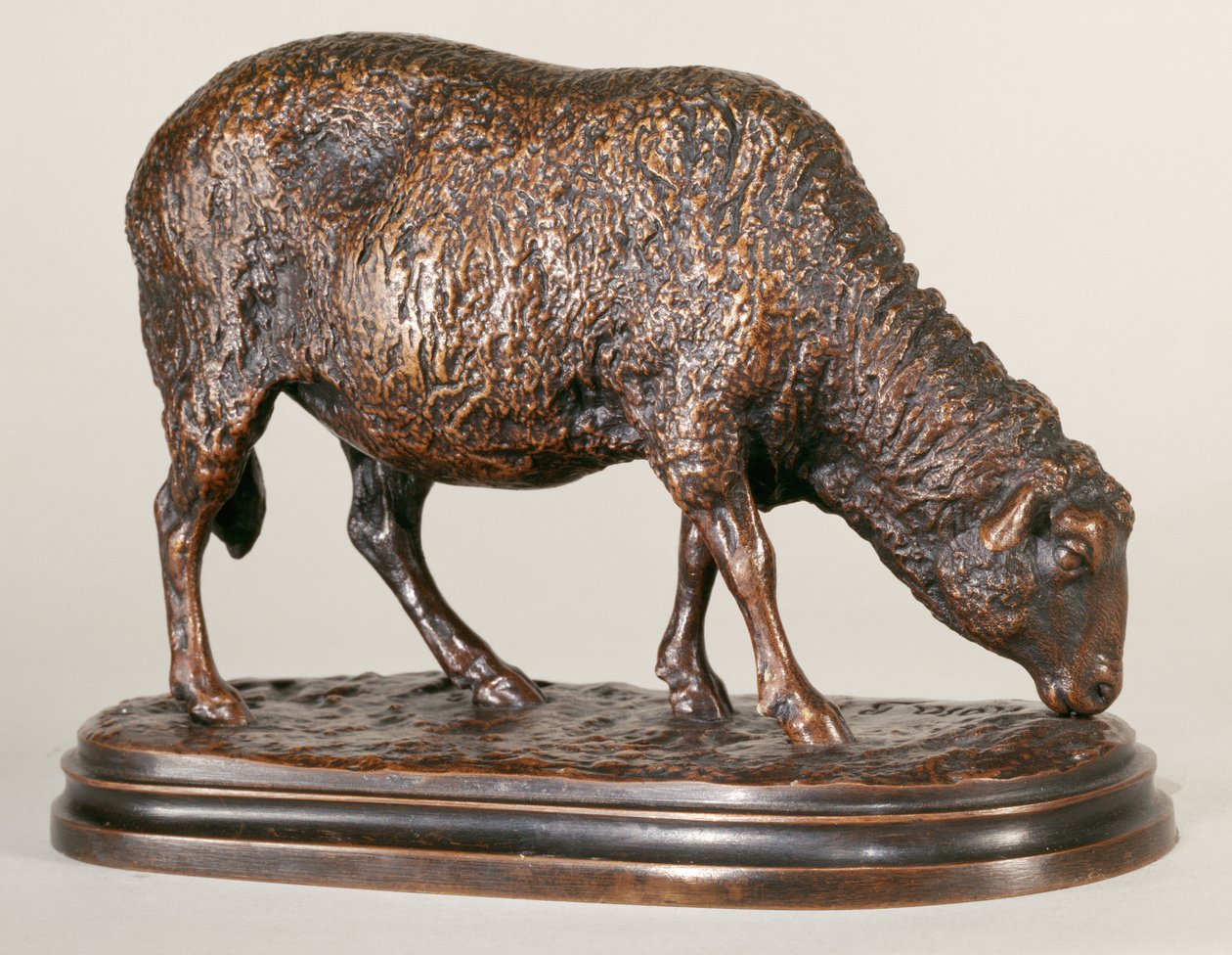 Uma Ovelha de Pastoreio (bronze) (anverso de 226301) de Rosa Bonheur