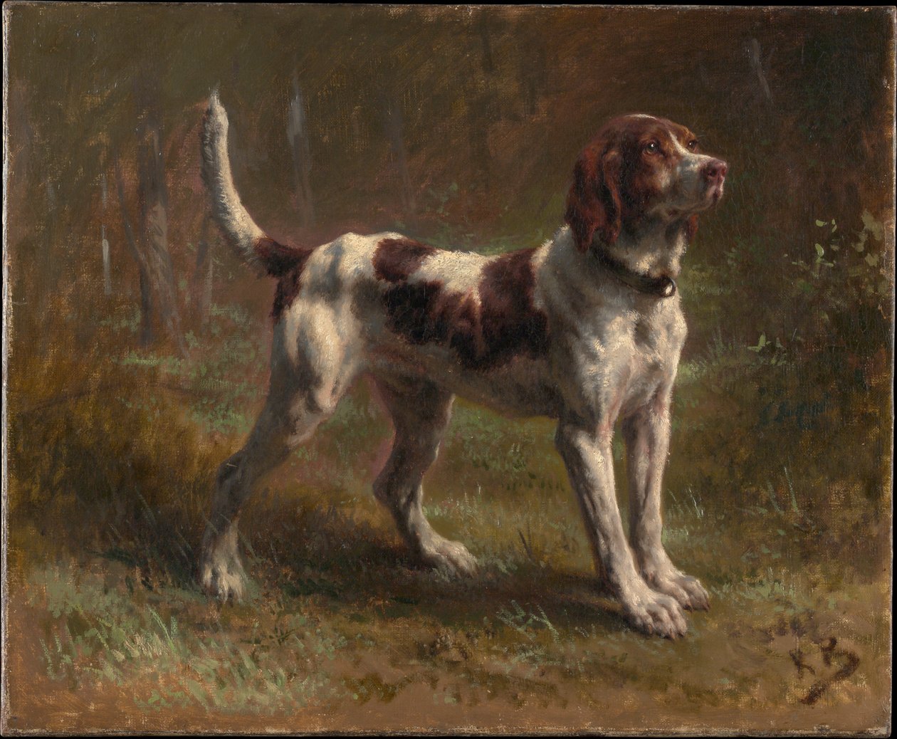 Um cão mais leve de Limier de Rosa Bonheur