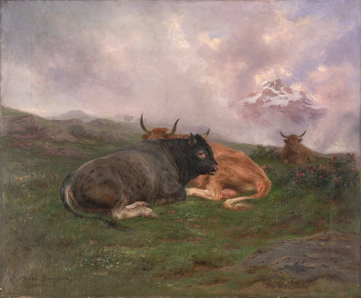 Gado em repouso na encosta de uma colina nos Alpes, 1885 de Rosa Bonheur