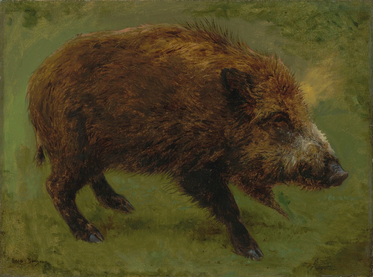 Francês:  Le sanglier Javali de Rosa Bonheur