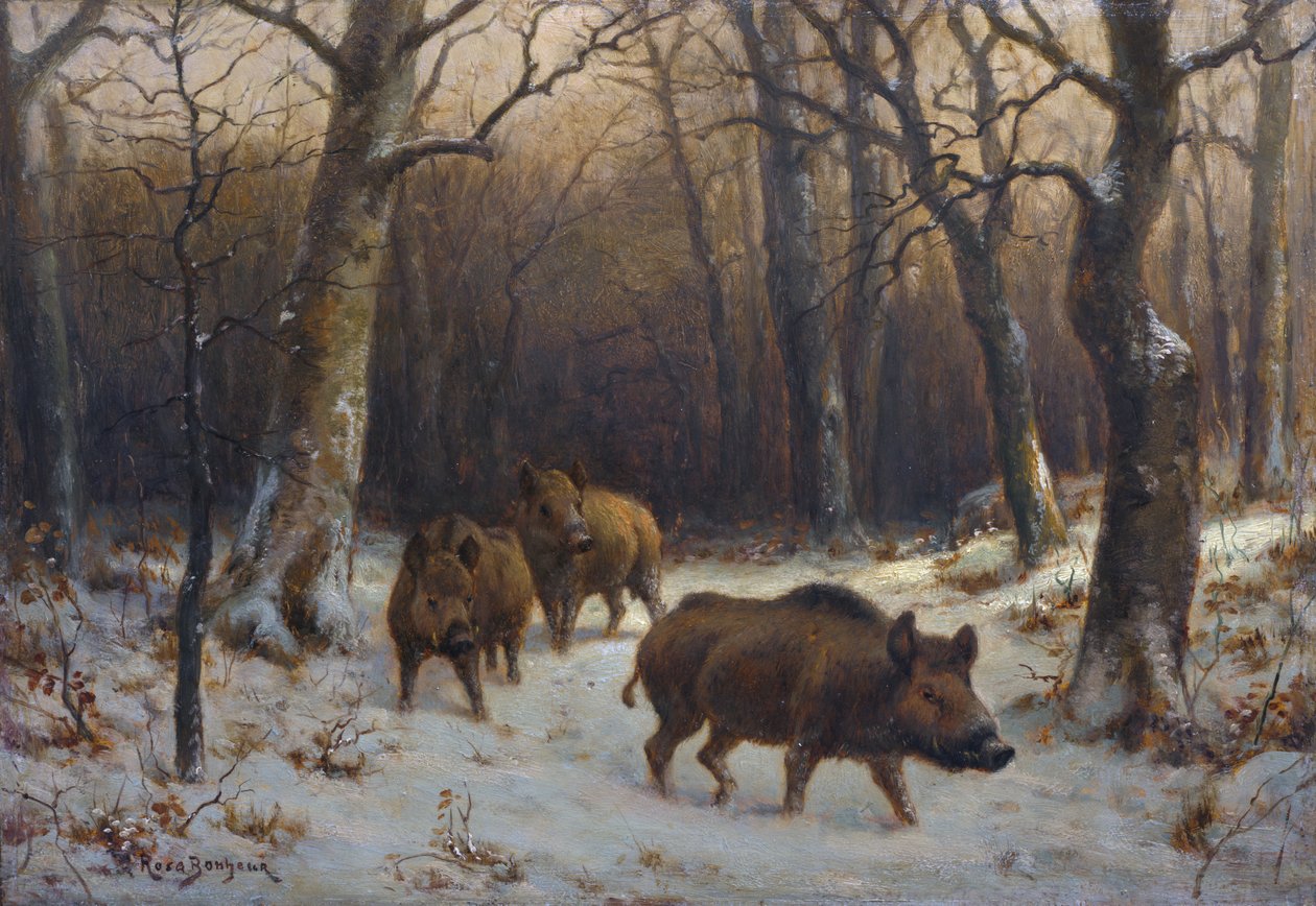 Francês:  Sangliers dans la neige Javalis selvagens na neve de Rosa Bonheur