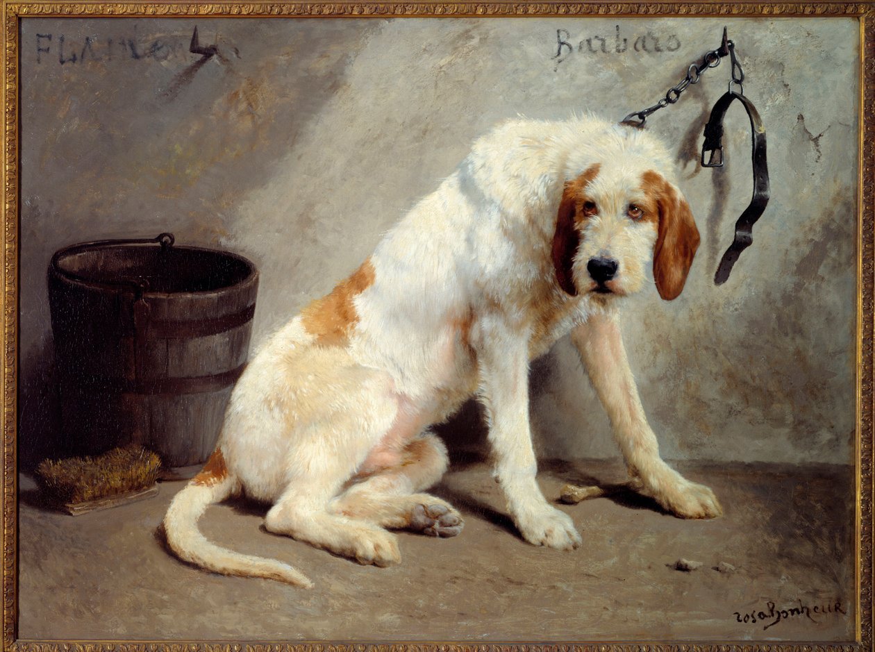 O cão Barbaro depois da caçada (Cão de caça) de Rosa Bonheur