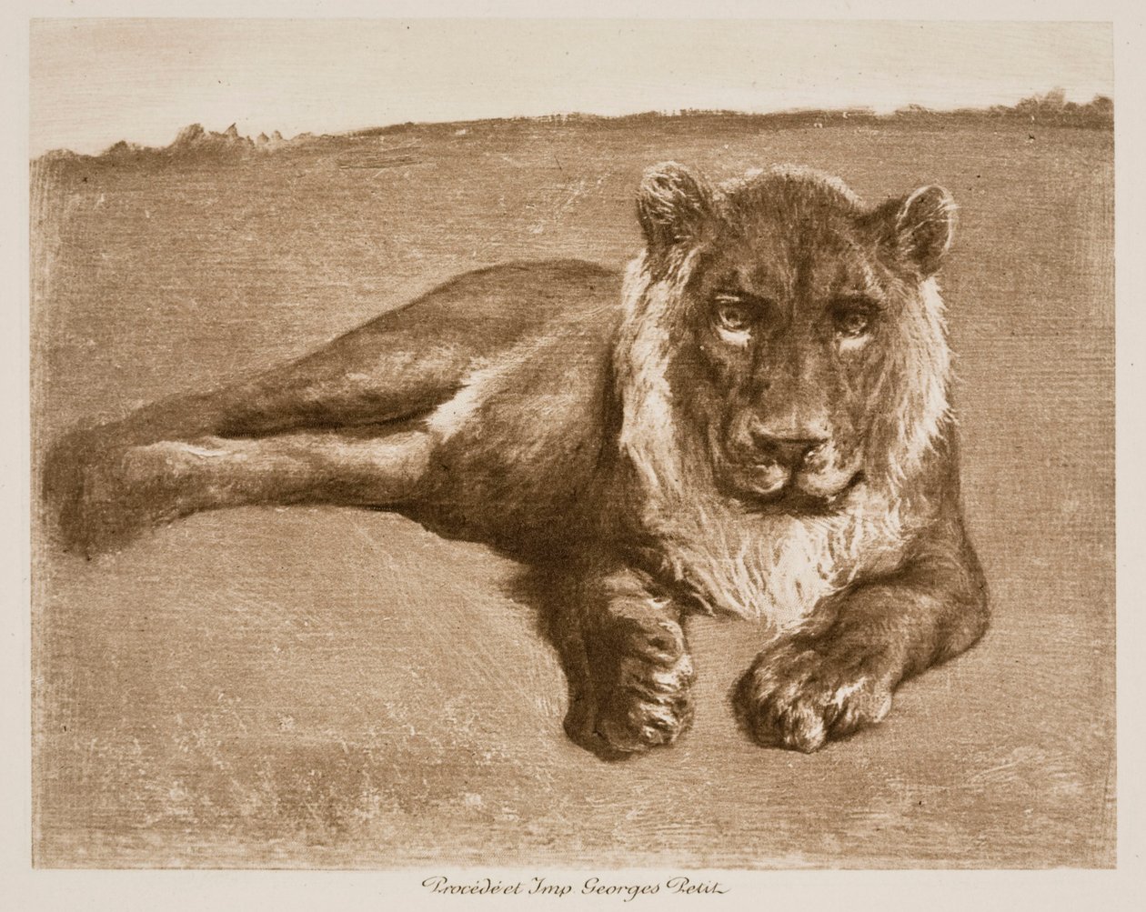 Leão de Rosa Bonheur