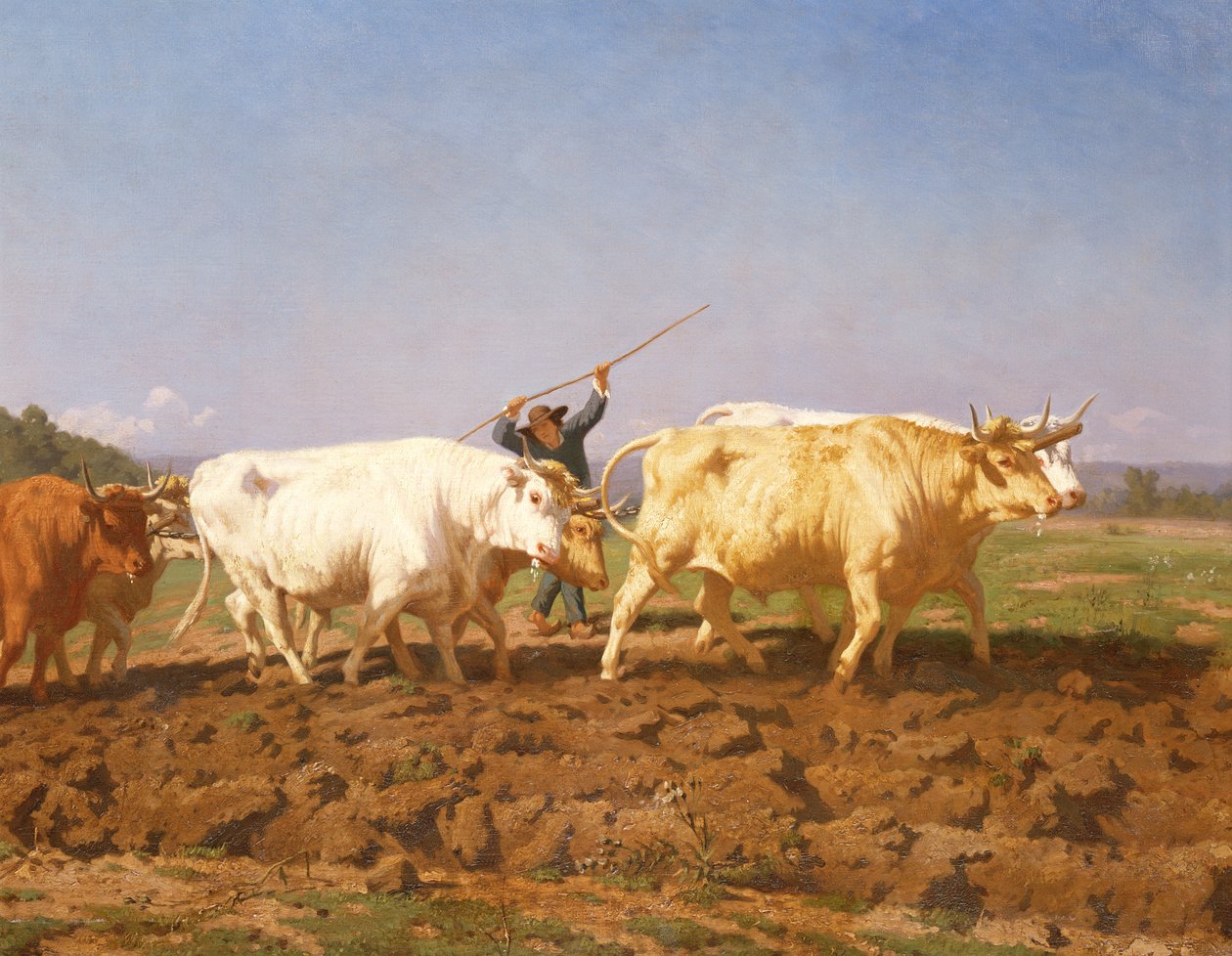 A lavoura no Nivernais, detalhe de 1850 de 60149 de Rosa Bonheur