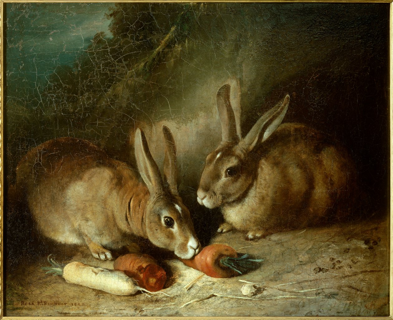 Coelhos. Pintura de Rosa Bonheur (1822-1899) de Rosa Bonheur