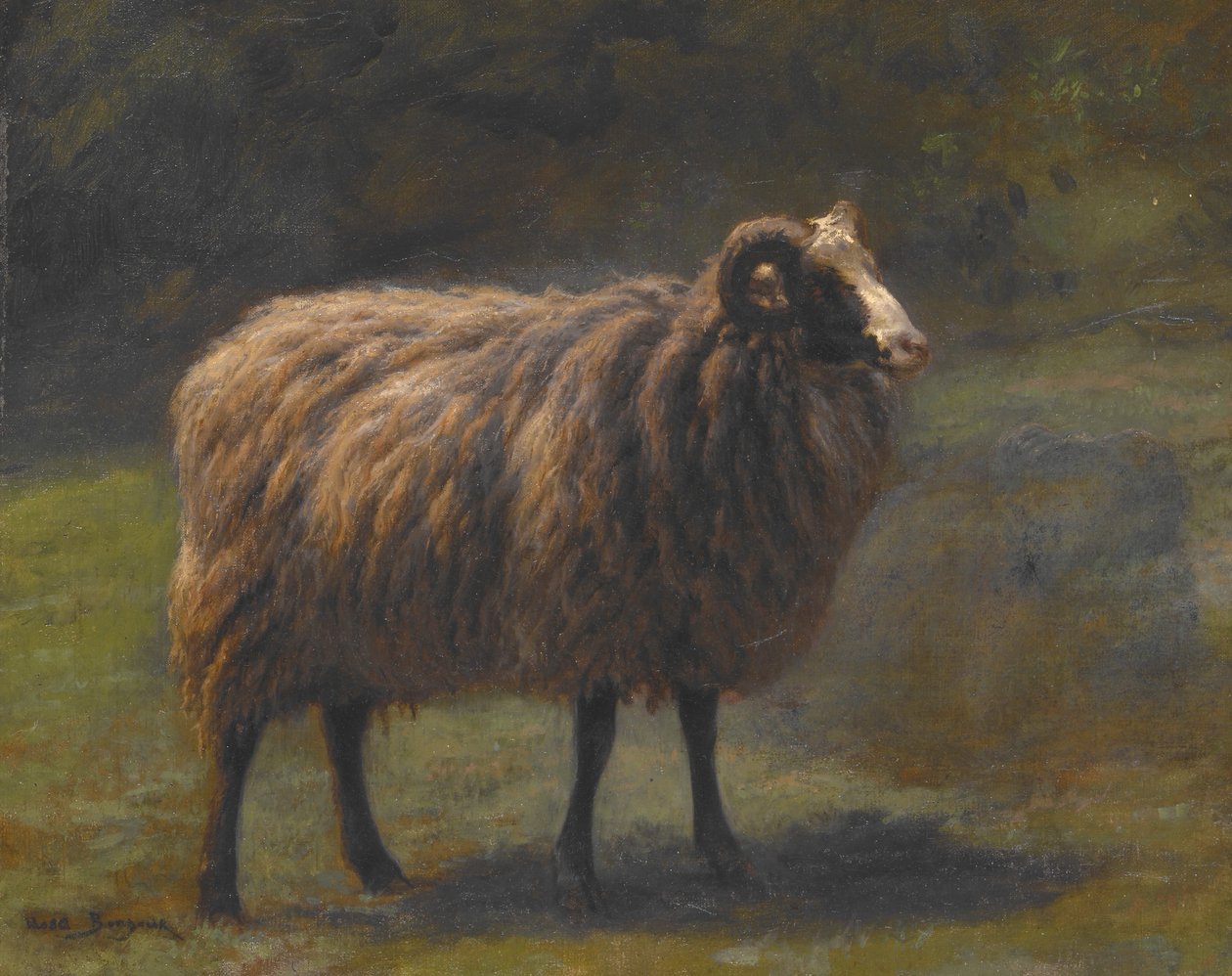 Carneiro de Rosa Bonheur