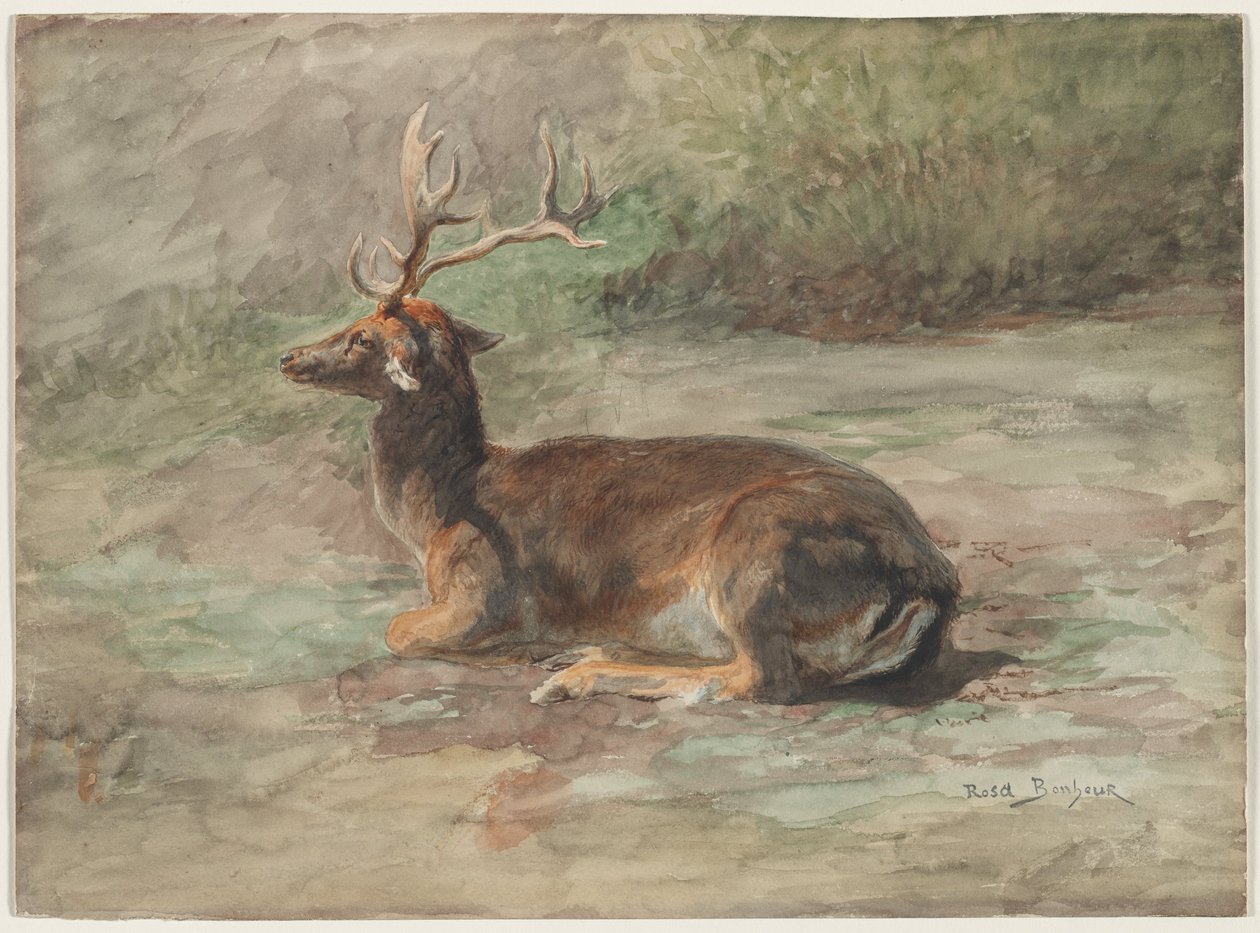 Recumbente Stag, segunda metade do século XIX (aguarela e guache sobre grafite) de Rosa Bonheur