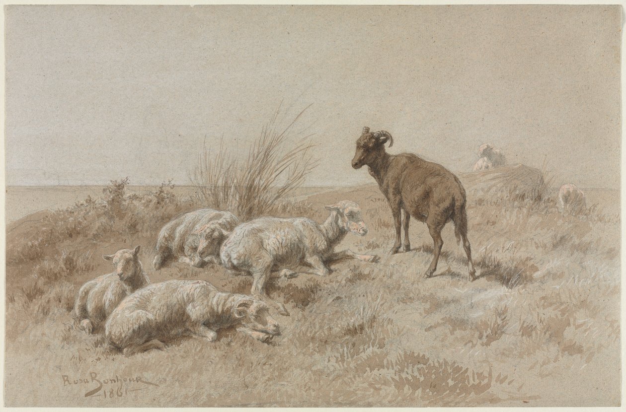 Ovelha de Rosa Bonheur