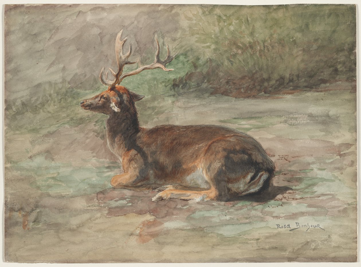 Veado Deitado de Rosa Bonheur