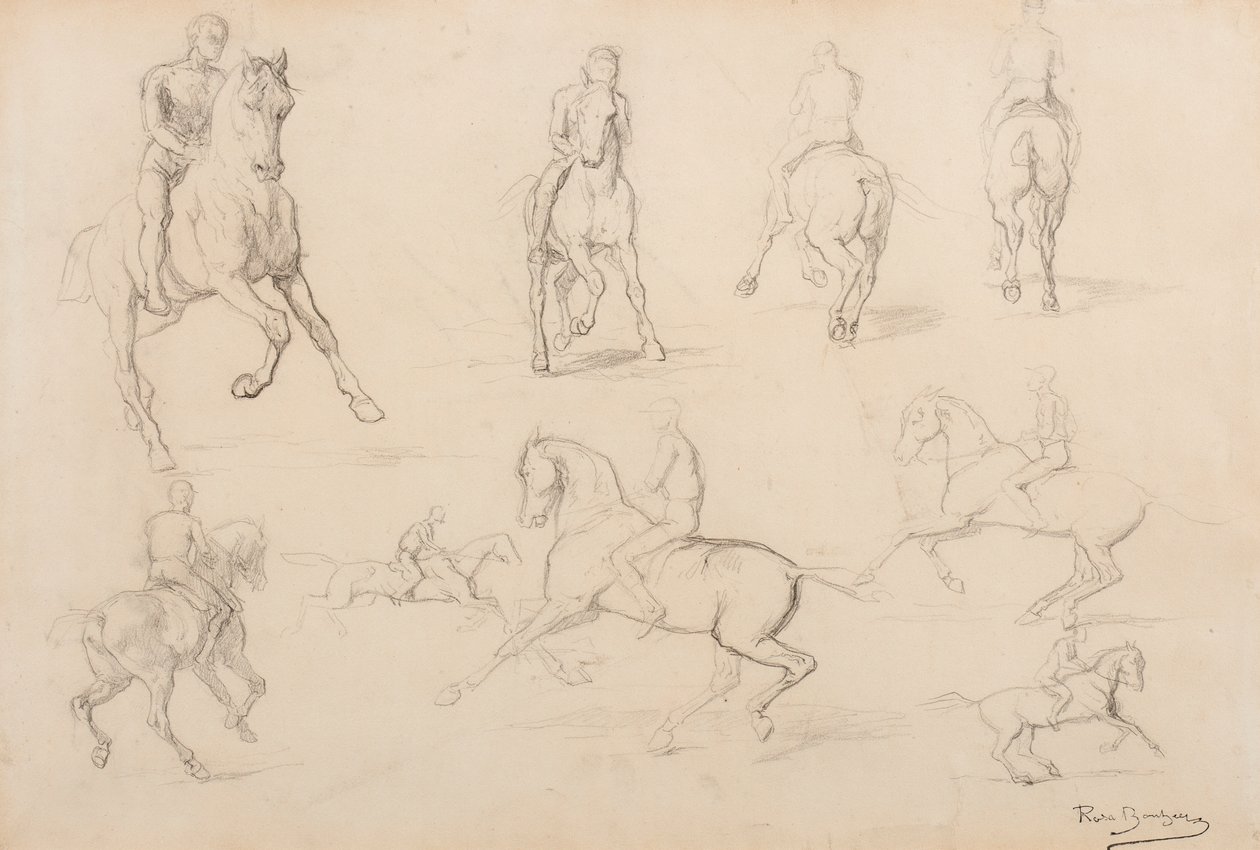 Estudos de um Cavalo e Cavaleiro (grafite sobre papel de trama branca) de Rosa Bonheur