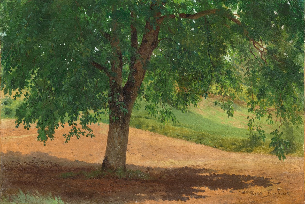 Estudo de Luz e Sombra (óleo sobre cartão colocado na tela) de Rosa Bonheur