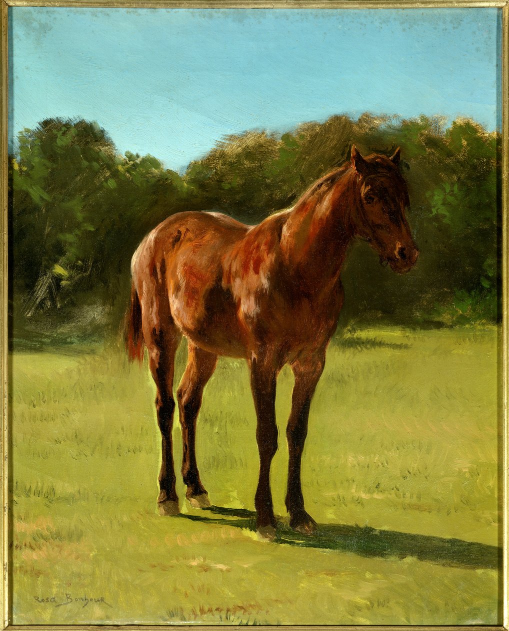 Estudo da cereja horse bai. Pintura de Rosa Bonheur (1822-1899) de Rosa Bonheur
