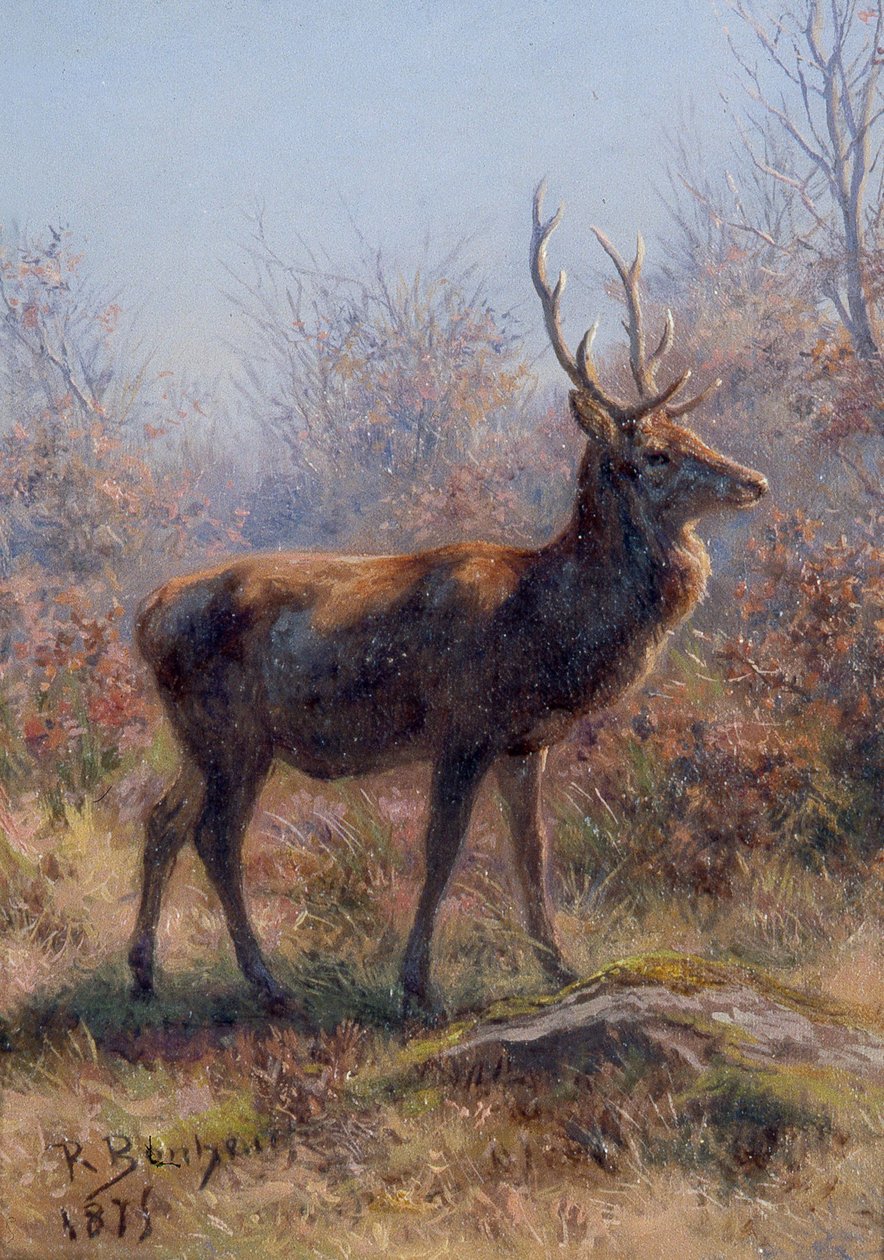 O veado de Rosa Bonheur