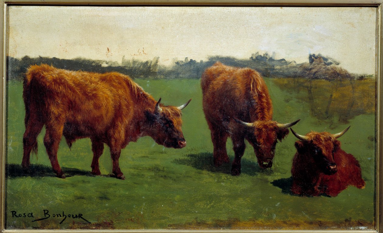 Três estudos de uma carne vermelha em um pré. Pintura de Rosa Bonheur (1822-1899) de Rosa Bonheur