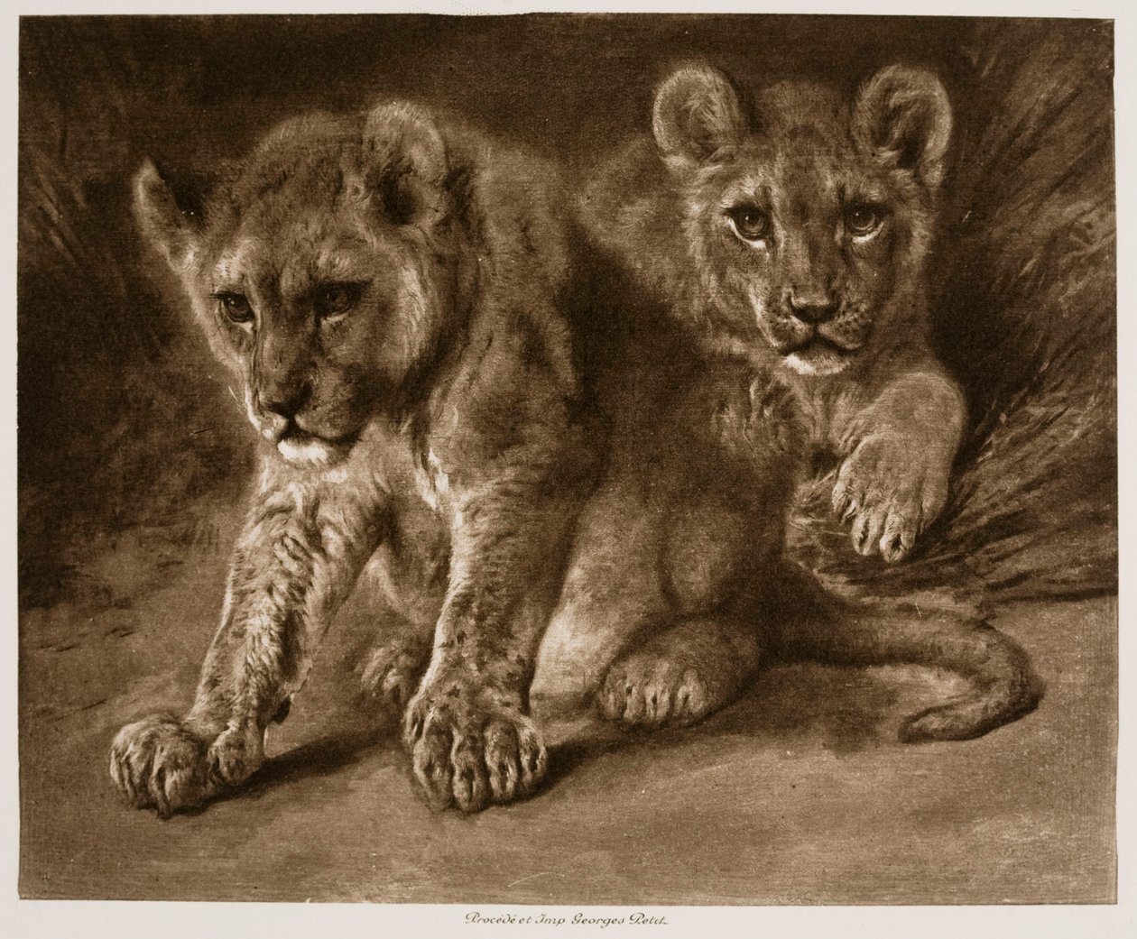 Dois filhotes de leão de Rosa Bonheur
