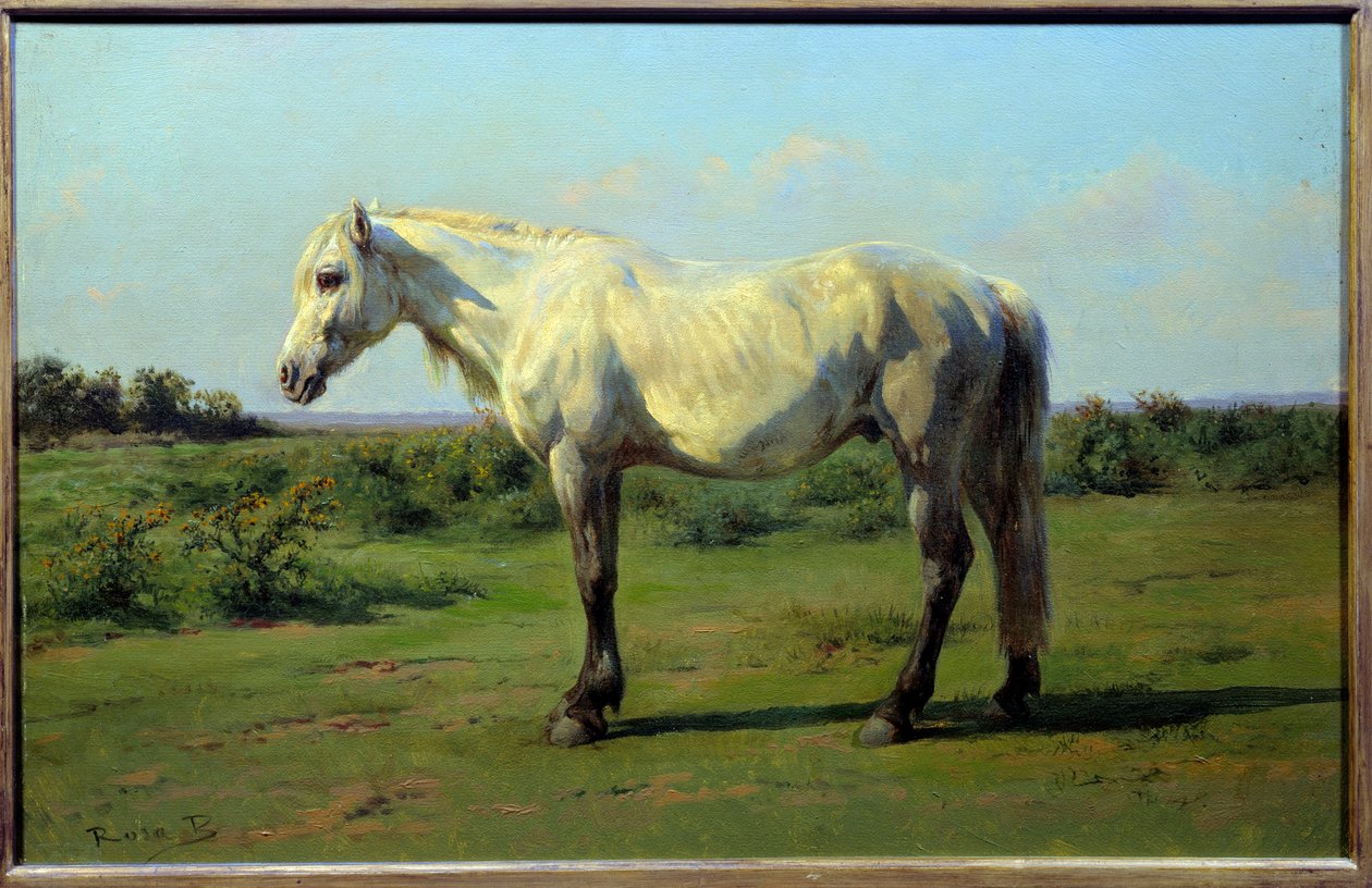 Cavalo branco em um pré. Pintura de Rosa Bonheur (1822-1899) de Rosa Bonheur