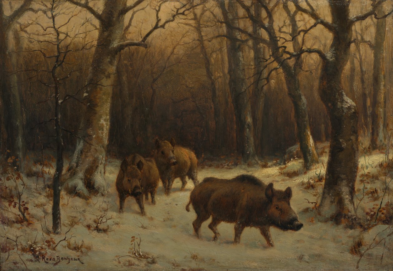 Javalis na neve, c. 1872-1877. de Rosa Bonheur