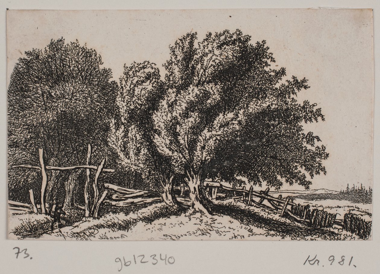 Paisagem de Rosalie Holm