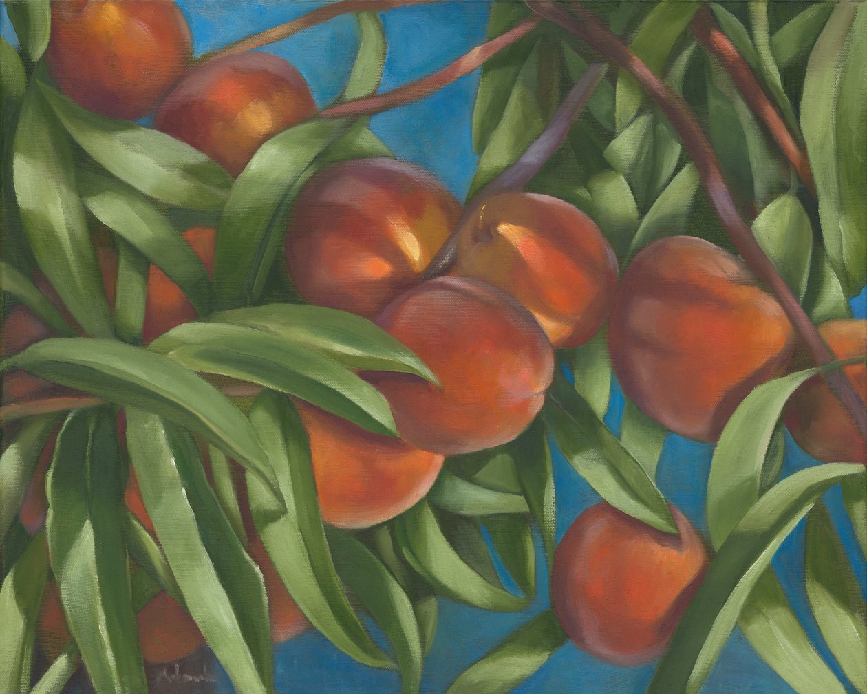 Pessegueiro, 2014 (óleo sobre tela) de Rosemarie Adcock