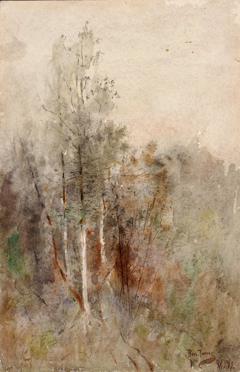 Um Estudo de Árvore, 1879. de Ross Turner