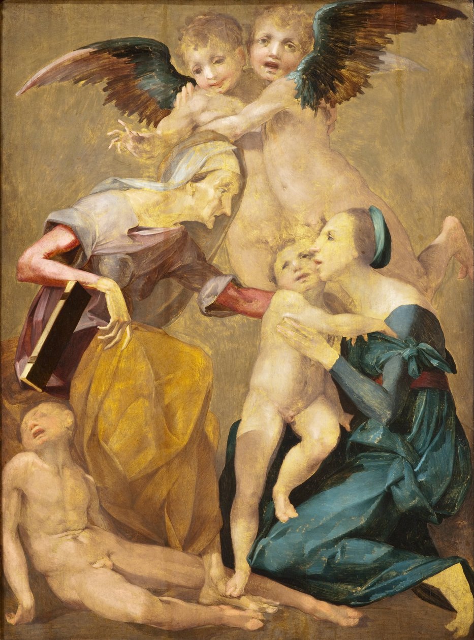 Alegoria da Salvação com a Virgem e o Menino Jesus, Santa Isabel, o Jovem São João Baptizado ... de Rosso Fiorentino