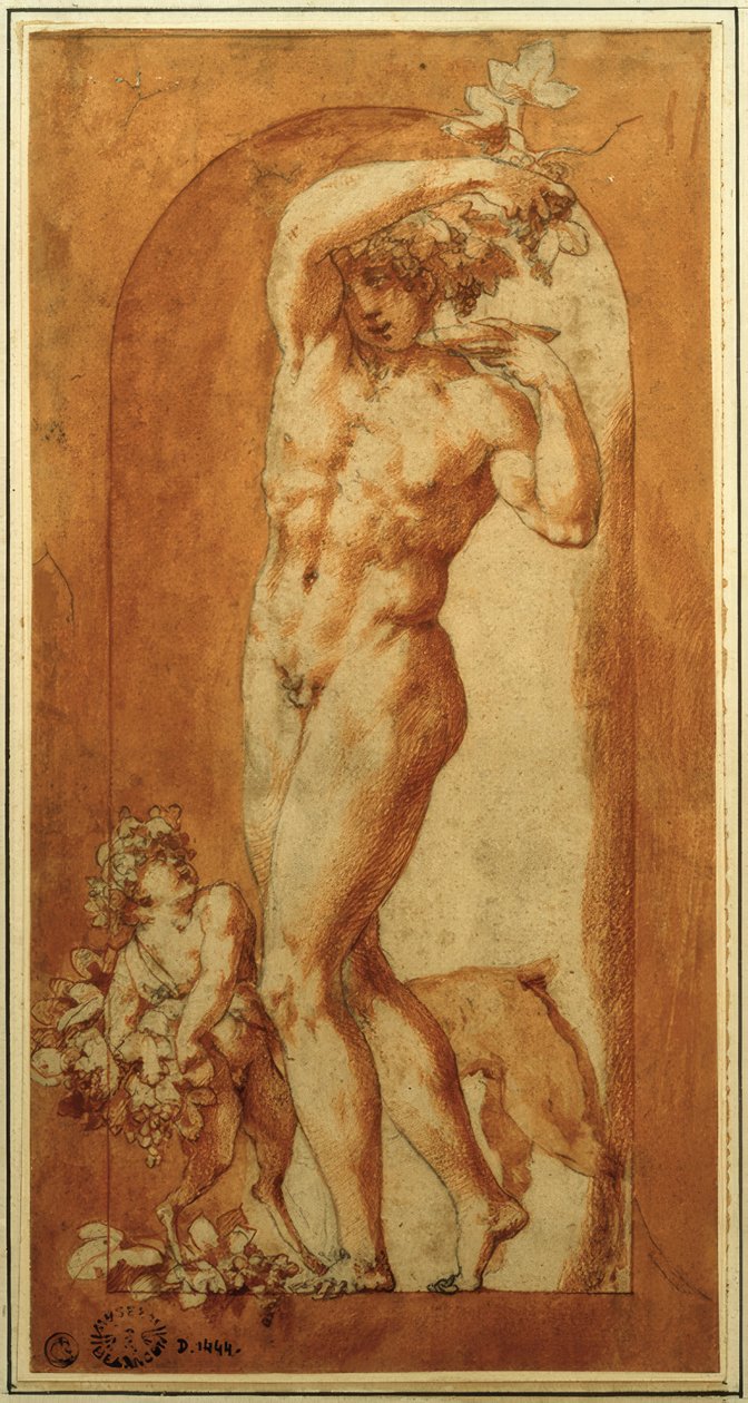 Baco no nicho de Rosso Fiorentino
