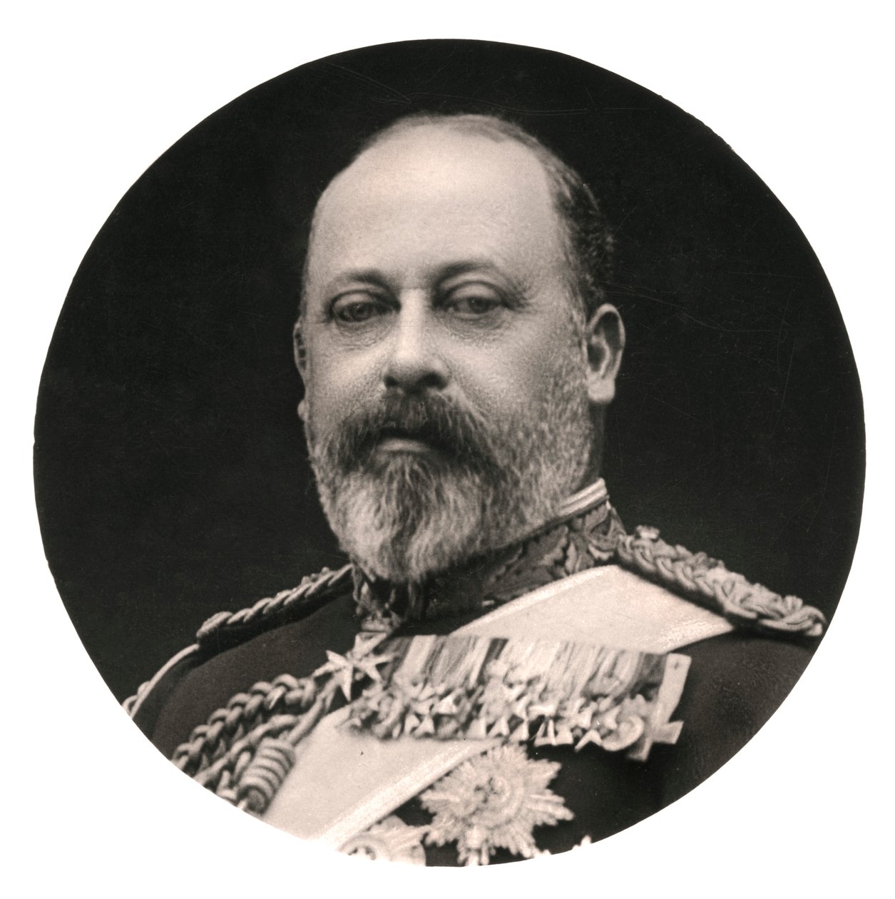 Rei Eduardo VII, século XX. de Rotary Photo