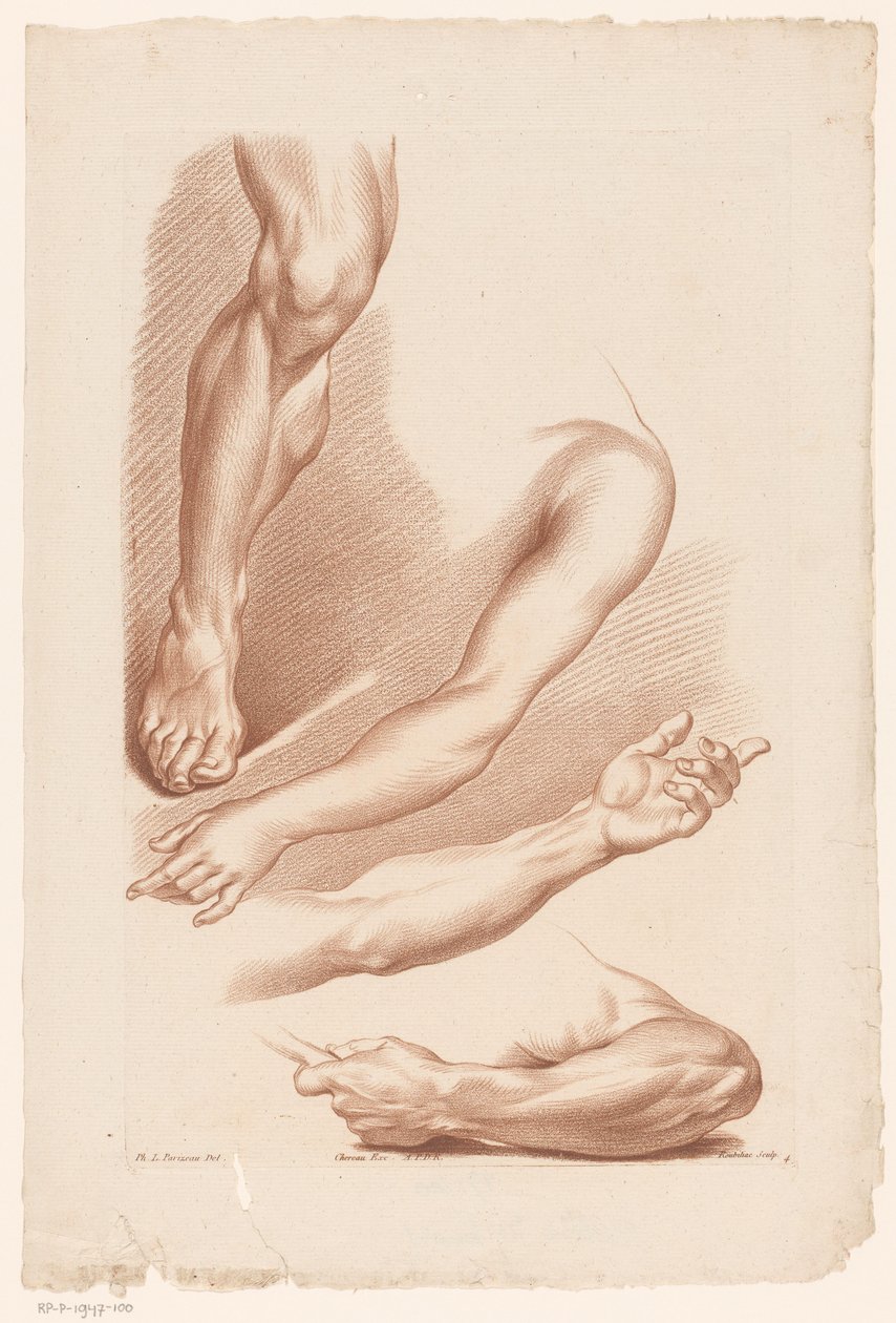Três braços e uma perna Princípios de desenho da natureza, parte sete (título da série) VIIe Cahier de Principes du Design d