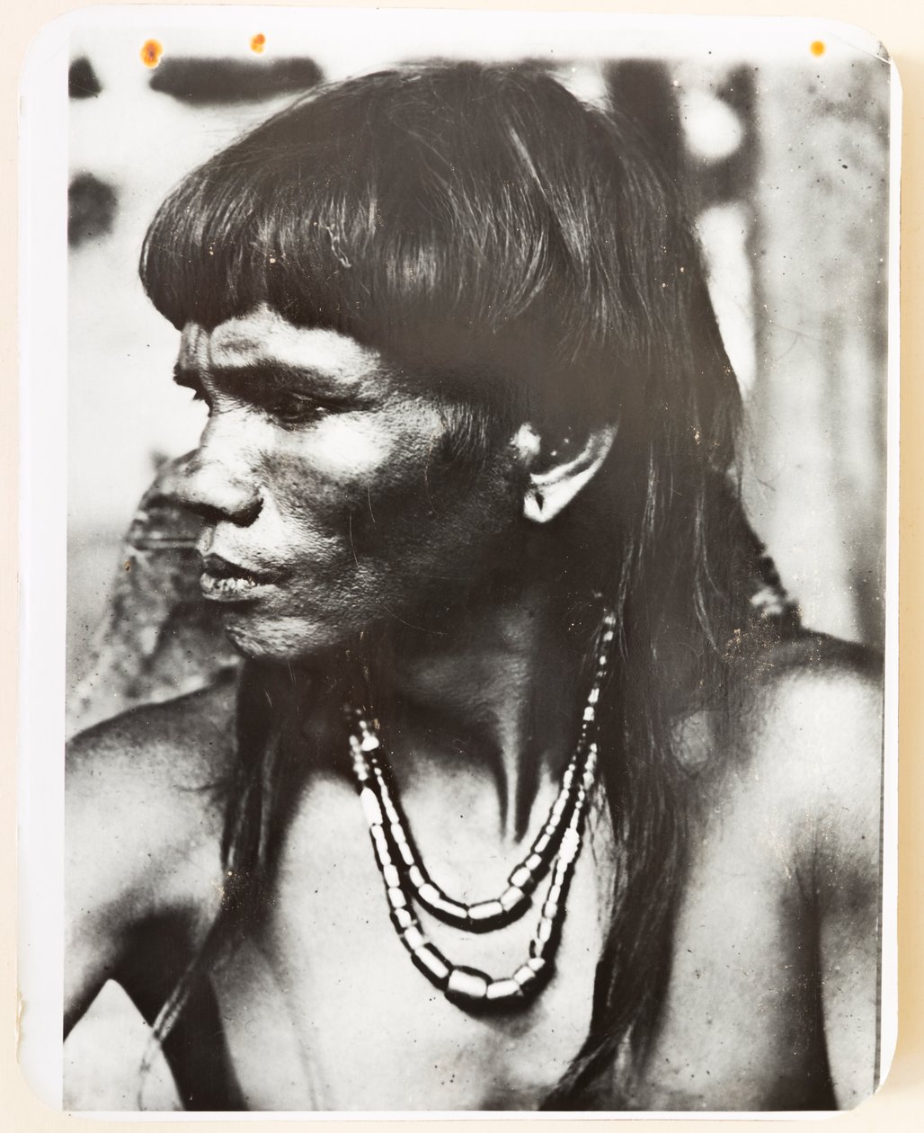 Ifugao da aldeia de Pindungan,1919 (foto a p/b) de Roy Barton
