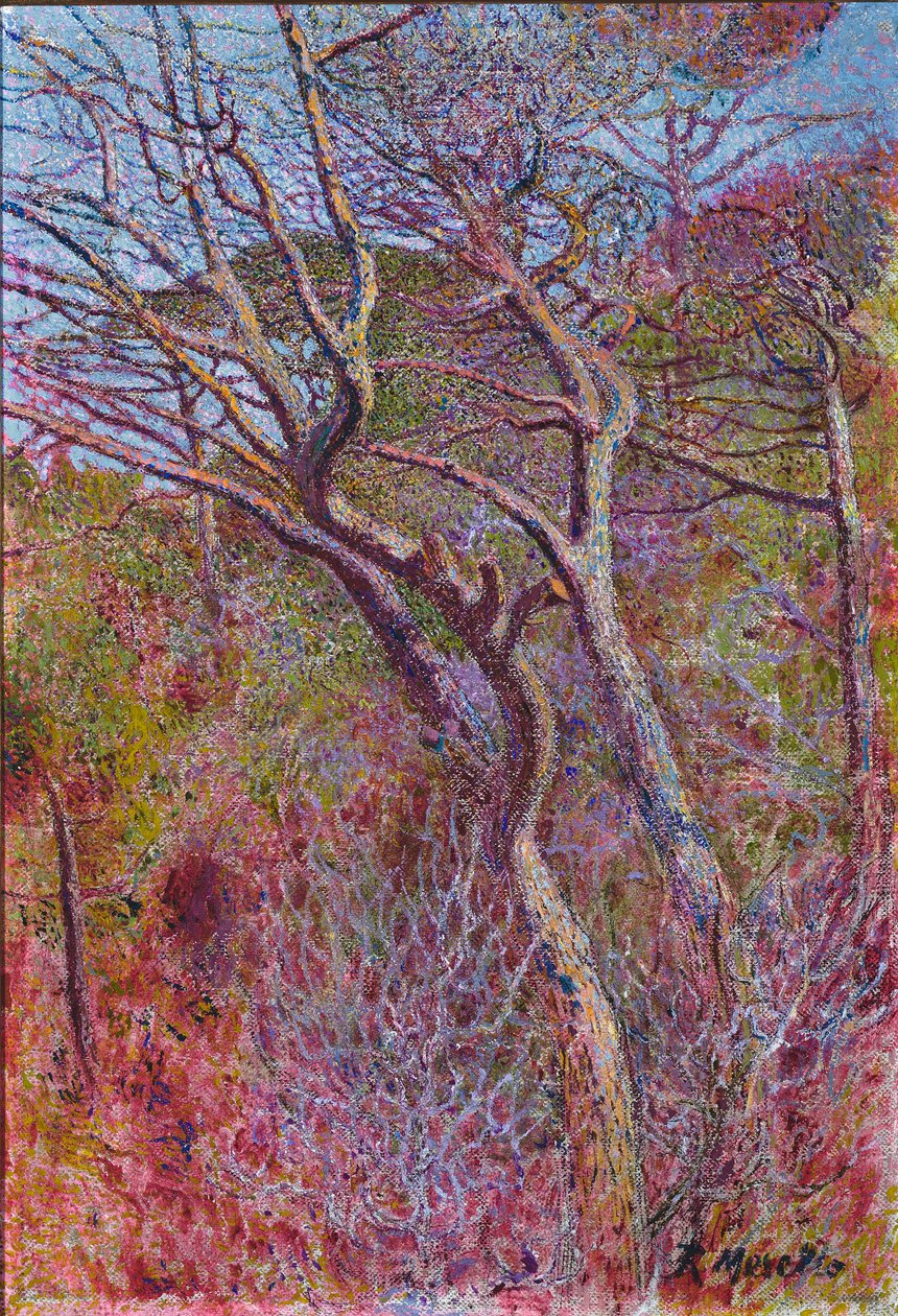 Paisagem, Estúdio, c.1907 de Rubaldo Merello