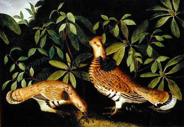 Dois Ruffed Grouse em Underbrush de Rubens Peale