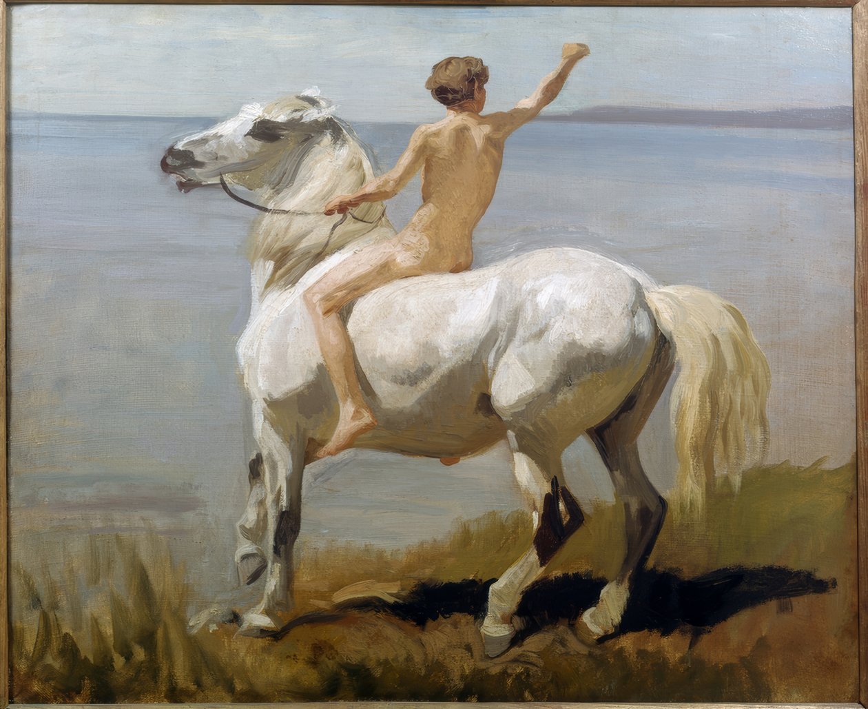 Rapaz num cavalo branco de Rudolf Koller