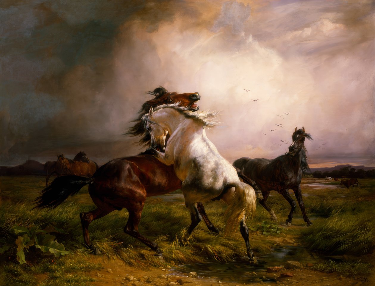 Combate aos cavalos selvagens de Rudolf Koller