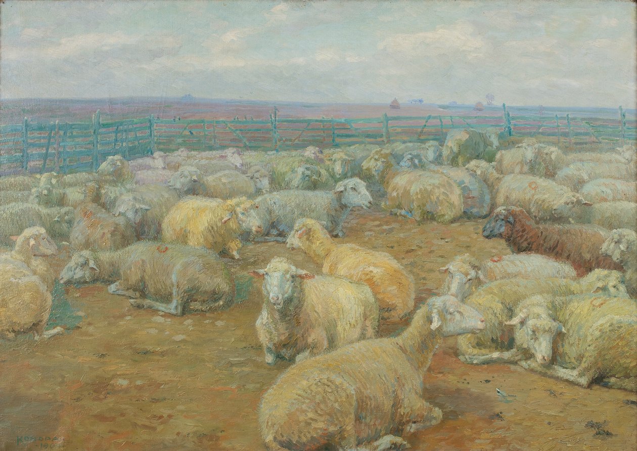 parque de ovelhas de Rudolf Konopa
