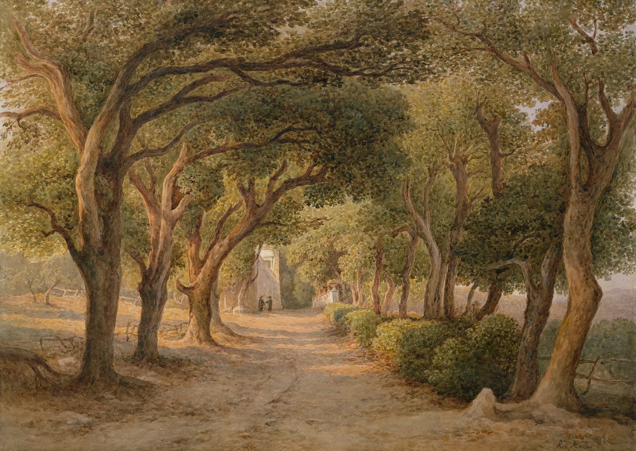 Castel Gandolfo (aguarela sobre papel) de Rudolf Müller