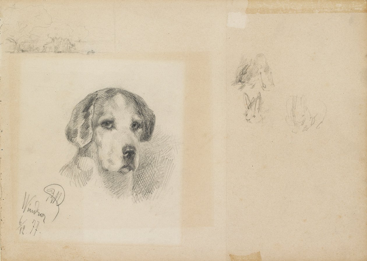 Retrato de um cachorro: Windsor, 1877 de Rudolf Wimmer