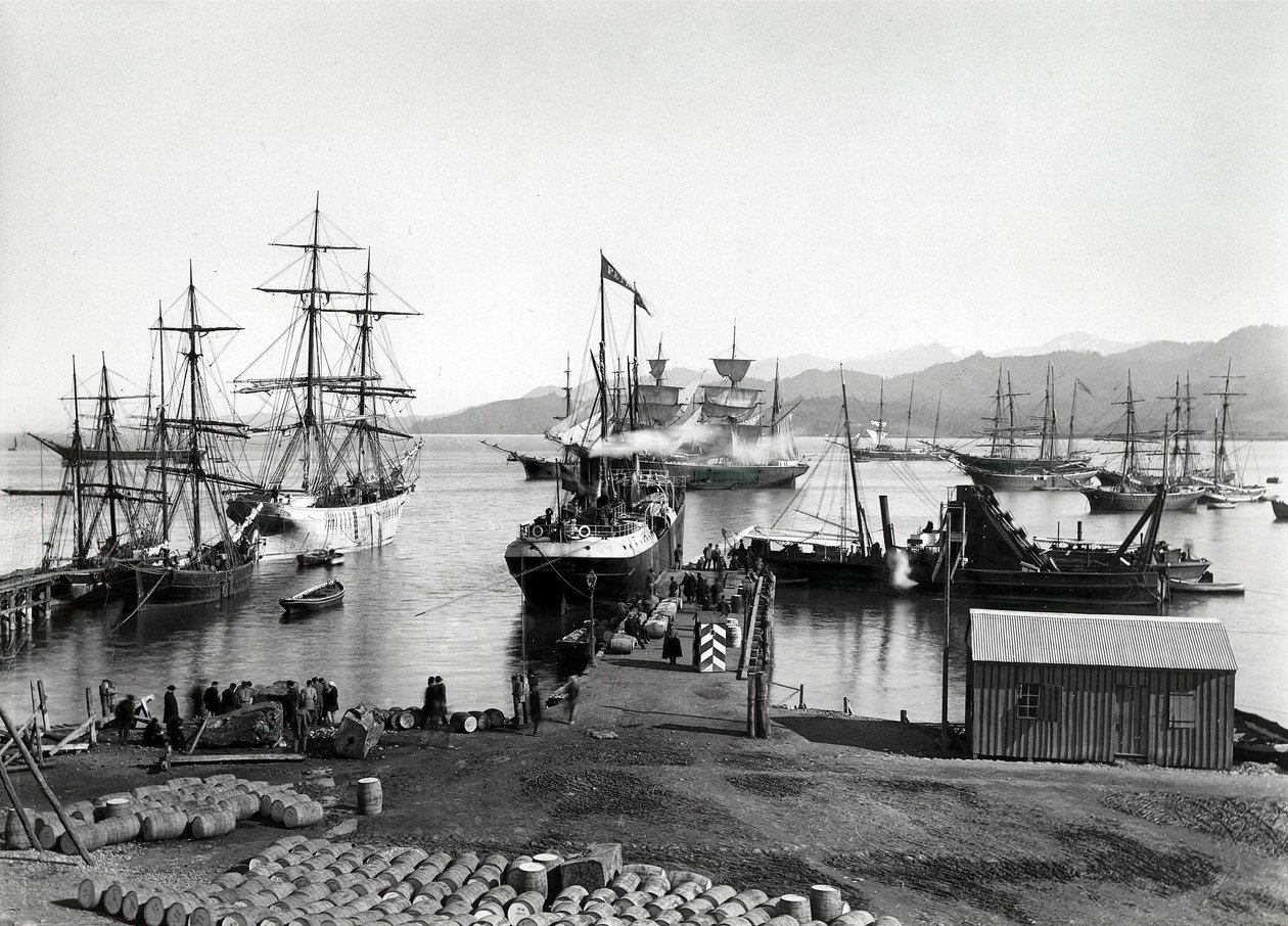 Envio no Neva, St. Petersburg, c.1880 de Russian Photographer