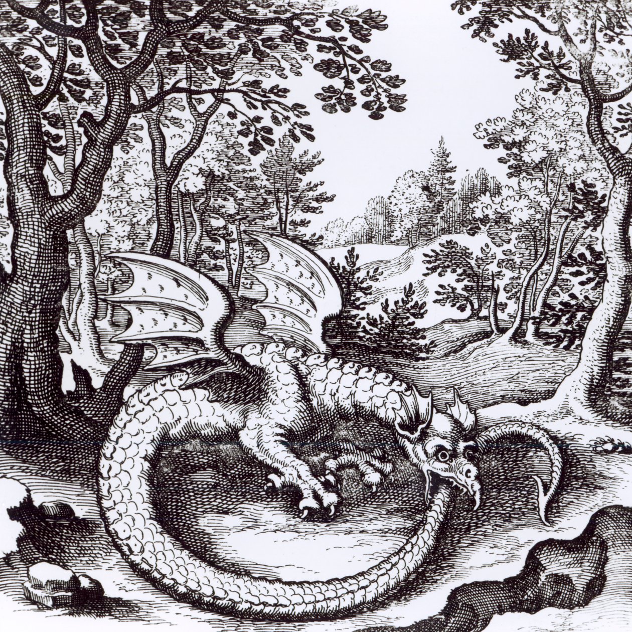 Um Dragão na Floresta, de &39;Musaeum Hermeticum Reformatum&39; de Basil Valentine, 1678 de Russian School
