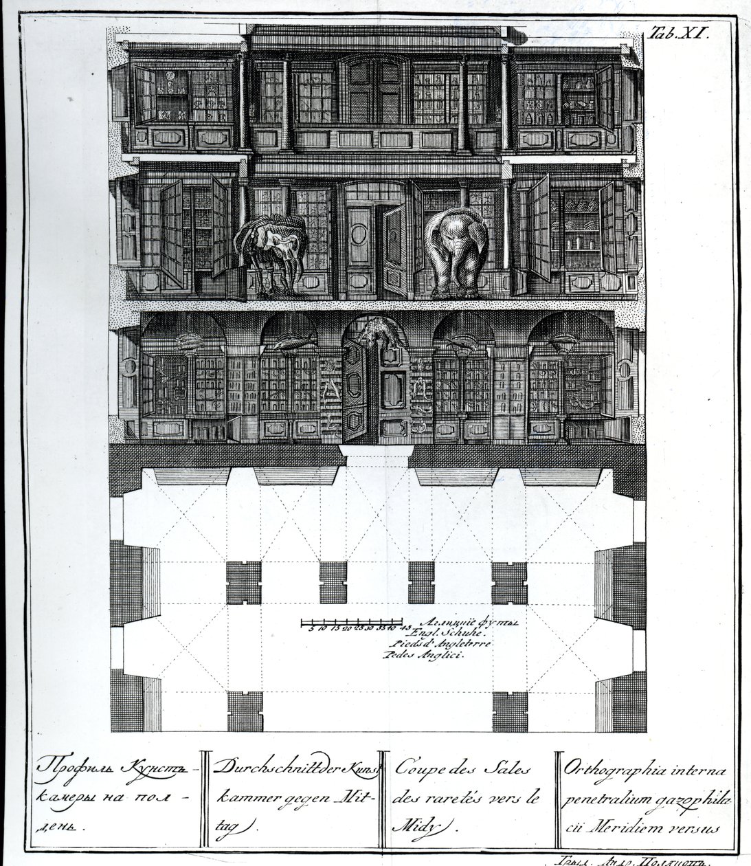 Uma vista em corte do Salão das Raridades em direção ao Sul, ilustração em Câmaras da Academia Imperial de Ciências de São Petersburgo, Biblioteca e Galeria mostrando Planos, Fachadas e Perfis por Johann de Russian School