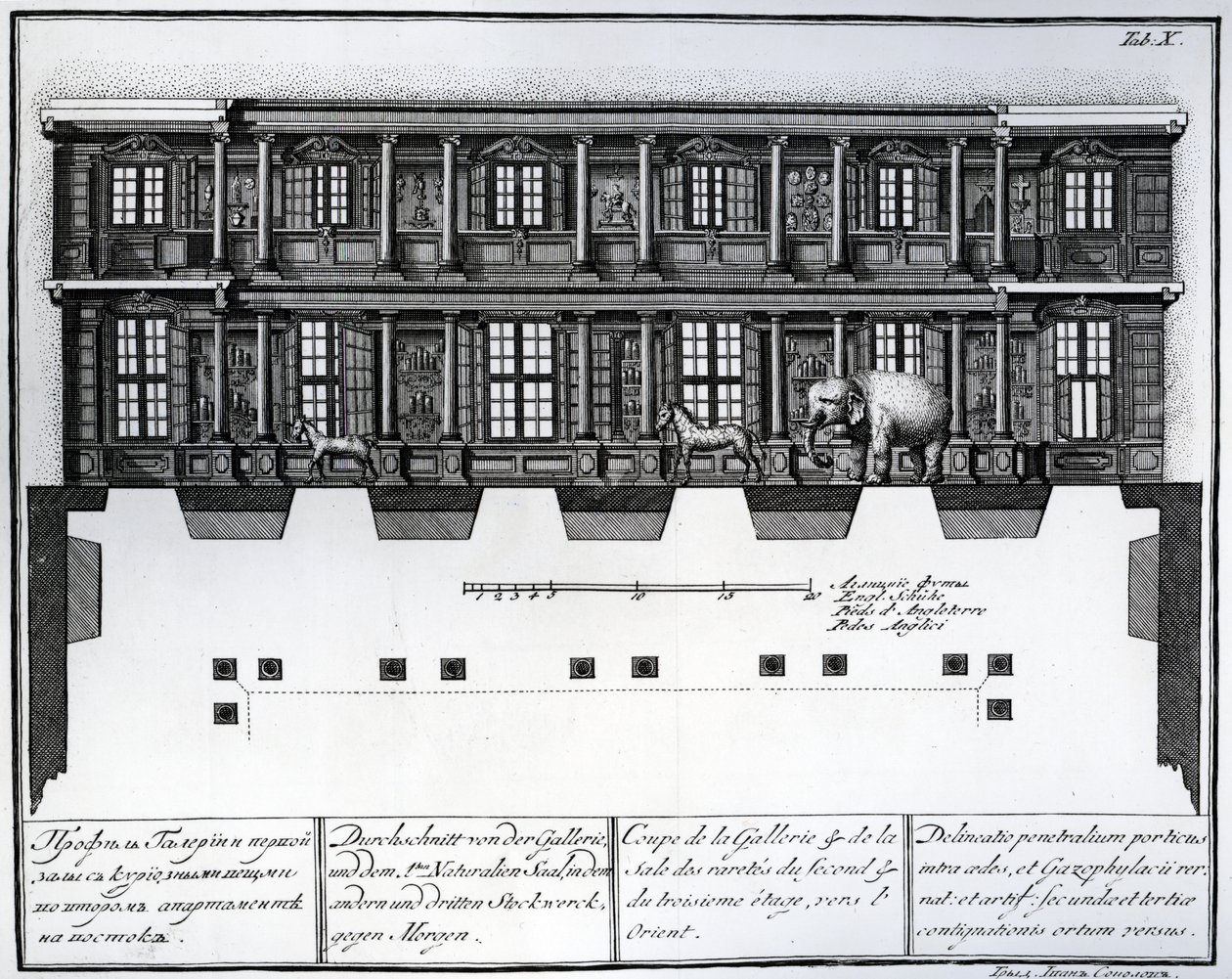 Vista de seção do segundo e terceiro andar do Hall of Rarities olhando para o leste, ilustração em câmaras da Academia Imperial de São Petersburgo de biblioteca de Ciências e Galeria mostrando planos, Fac de Russian School