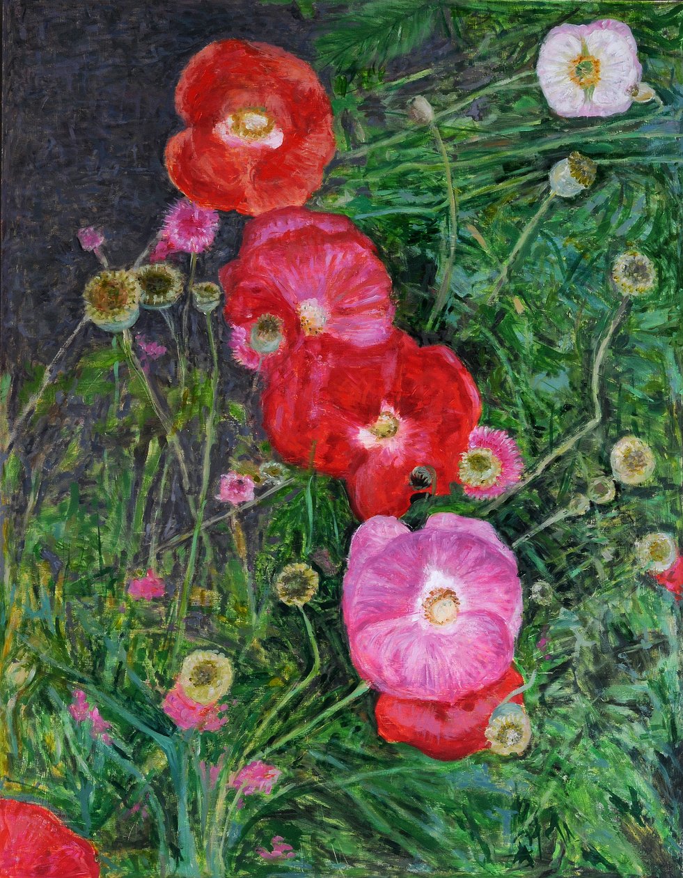 Papoulas, 2009 (óleo sobre madeira) de Ruth Addinall