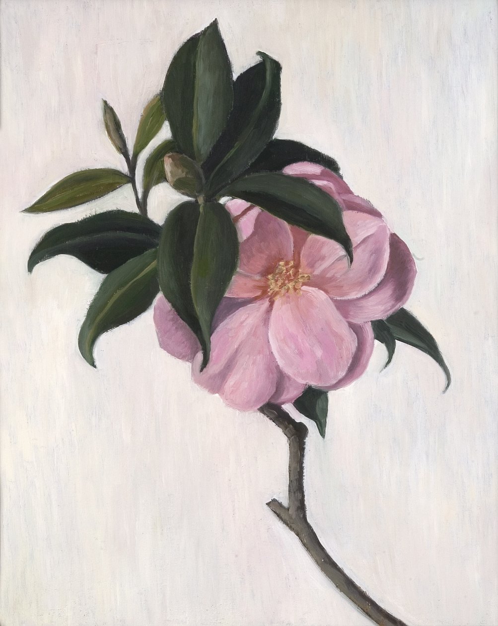 Camélia, 1998 de Ruth Addinall