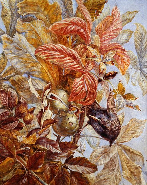 Um Estorninho num Castanheiro (aguarela e cor de corpo sobre papel) de Ruth Lindsay