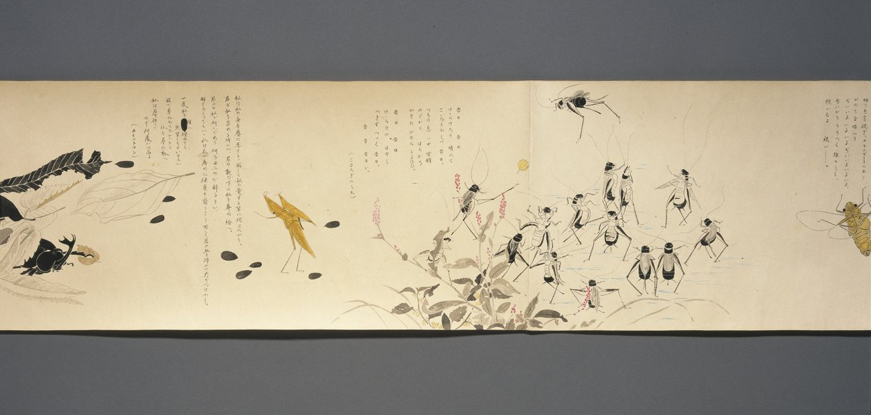 Amigos dos Animais Selvagens (Yasei no Tomo), Taisho, Taisho 7º Ano, c.1918 (tinta & wc em papel tufado decorado com mica) de Ryoka Kawakami